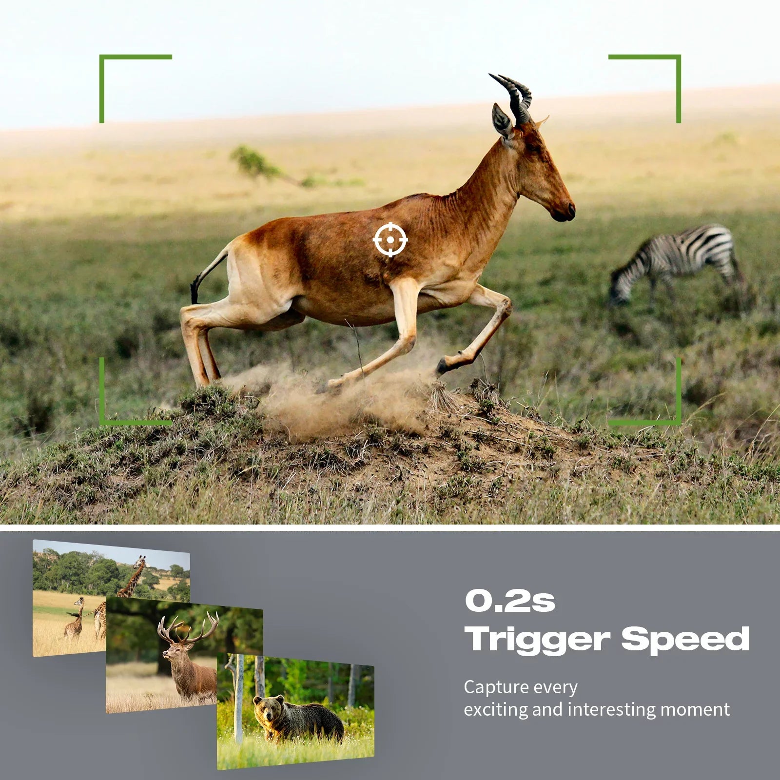 WiFi Trail Game Camera 4K 42MP Bluetooth Hunting Deer Camera with 3PIR Sensor Infrared Night Vision Waterproof IP66 0.2s Trigger 2.4"  Trail Cam for Wildlife Monitoring