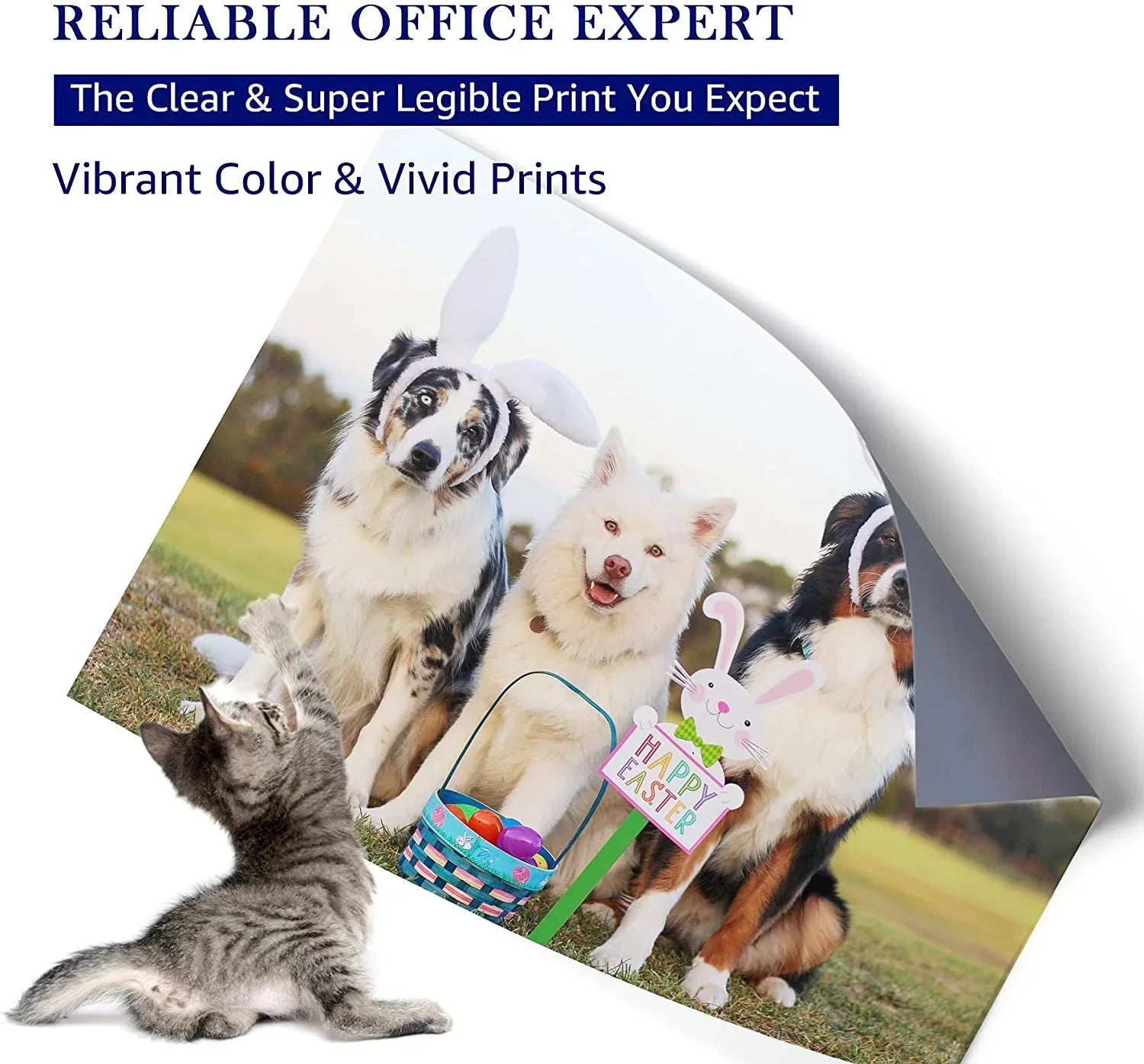 Compatible 62XL 62  High Yield Ink Cartridge Replacement for  Envy 5540 5660 7645 5642 5542 5640 7644 8000 OfficeJet 200 250 5740 200 5745 Printer