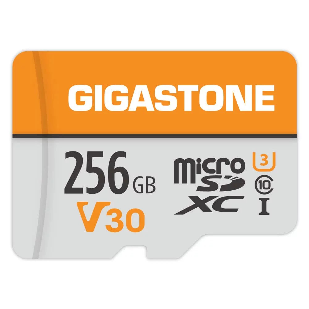 Gigastone 256GB Micro  Card, 4K Video Pro, MicroSDXC Memory Card for Nintendo-Switch, Wyze, GoPro, Dash Cam, Security Camera, 4K Video Recording, -I A1 U3 V30 C10, up to 100MB/s, with Adapter