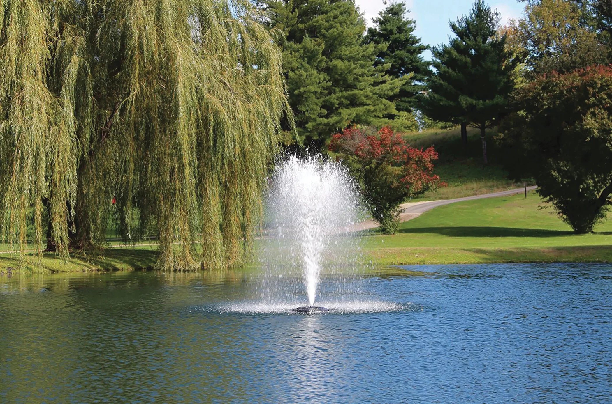 1hp Decorative Fountain, 50 foot cord, 120 volt with LED3C11-050 Light Kit