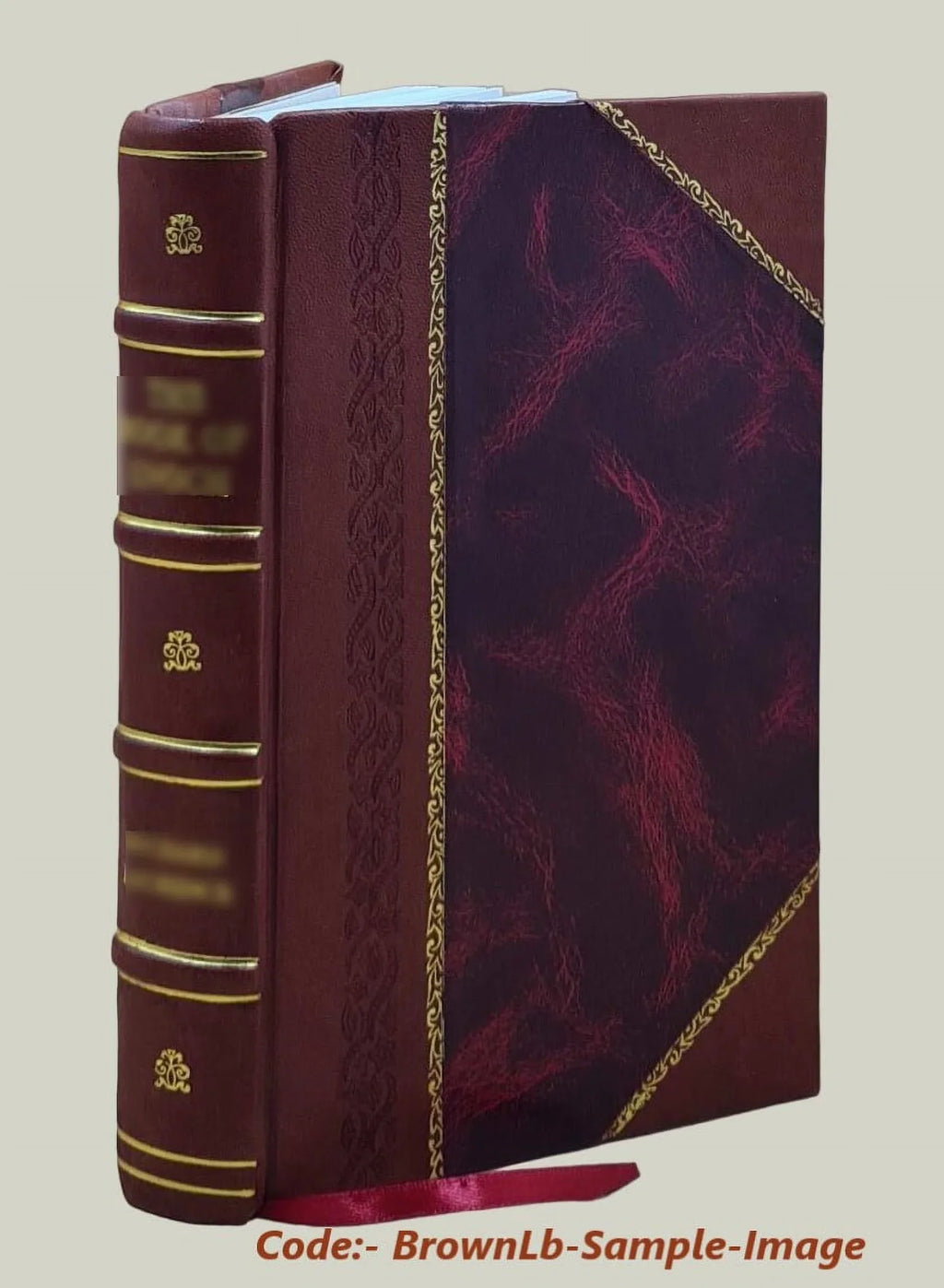 Neptune's table : a view of America's ocean fisheries / Anneka Wright ; director of photography, William B. Folsom 2002 [Leather Bound]
