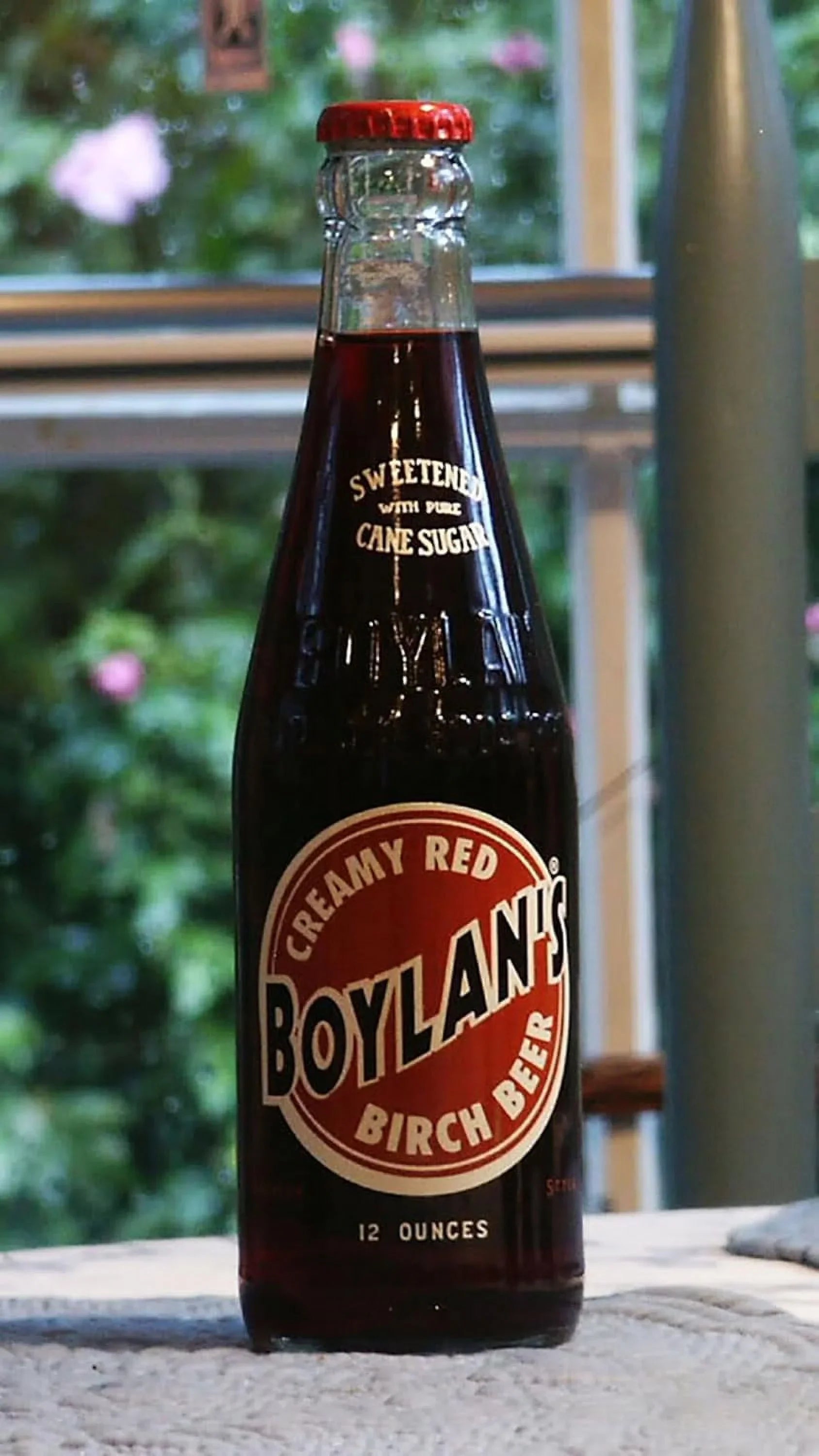 Creamy Red Birch Beer, 12 Fl Oz, 24 Count