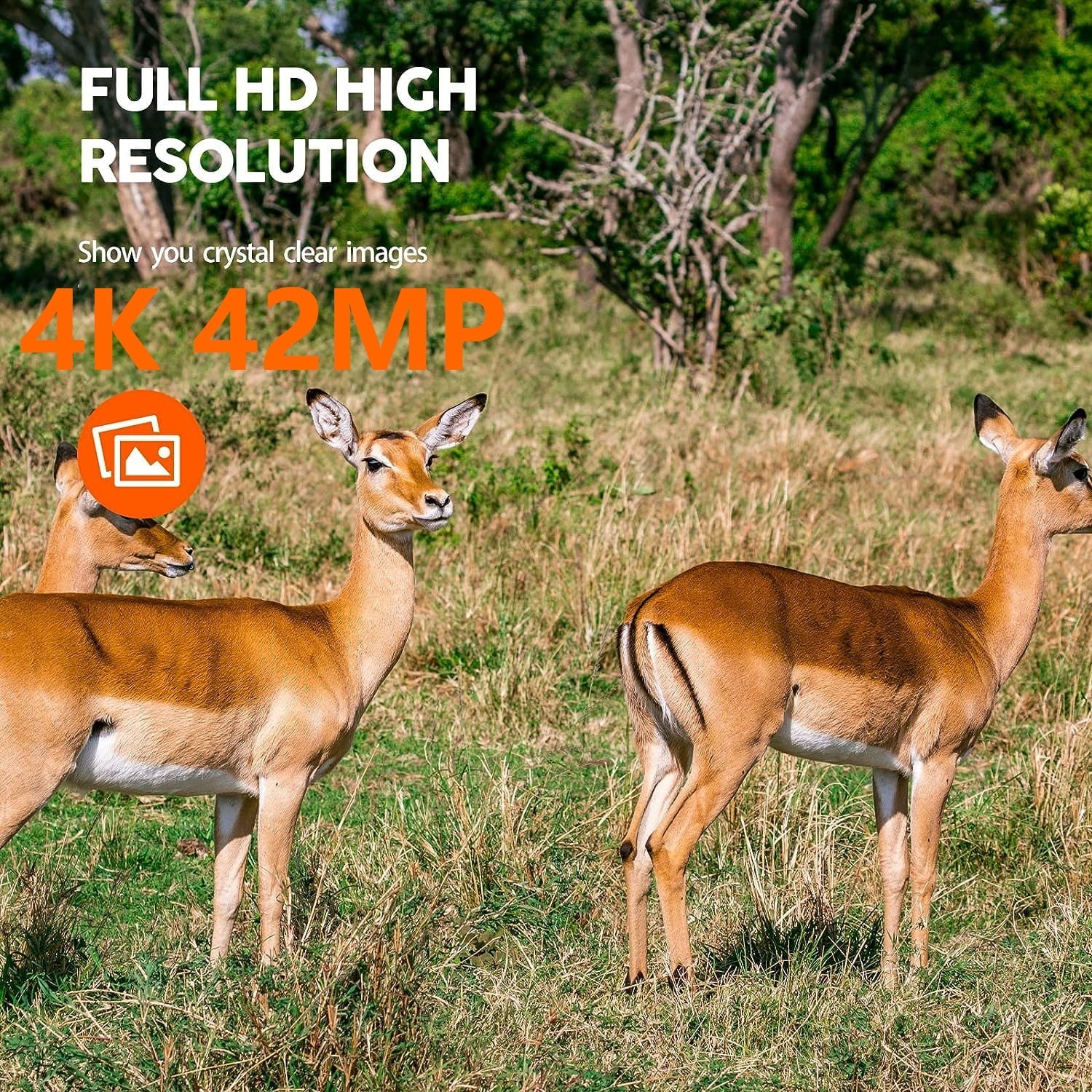 WiFi Trail Game Camera 4K 42MP Bluetooth Hunting Deer Camera with 3PIR Sensor Infrared Night Vision Waterproof IP66 0.2s Trigger 2.4"  Trail Cam for Wildlife Monitoring