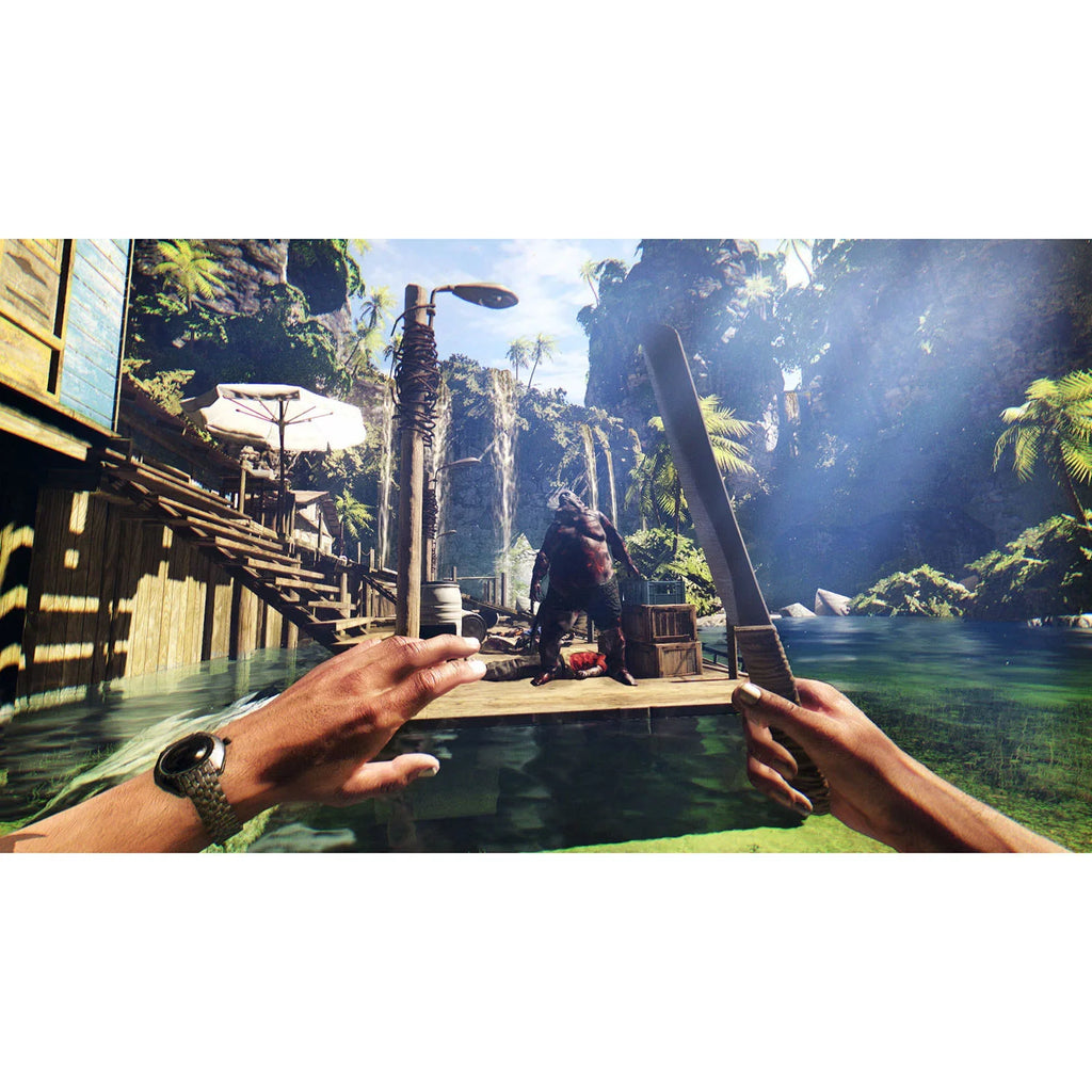 Dead Island Definitive Collection Square Enix PlayStation 4 816819013410