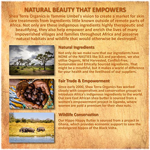 Shea Terra Organics Argan & Rosemary Cleansing Oil | Deep Pore Treatment, Bacteria Remover, Vitamin E Oil | All Skin Types - 4 oz