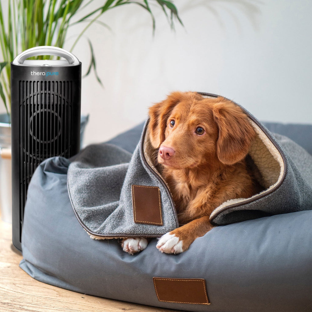 Therapure TPP620 Tower 4 Stage Air Purifier with 3 Fan Speeds, Black