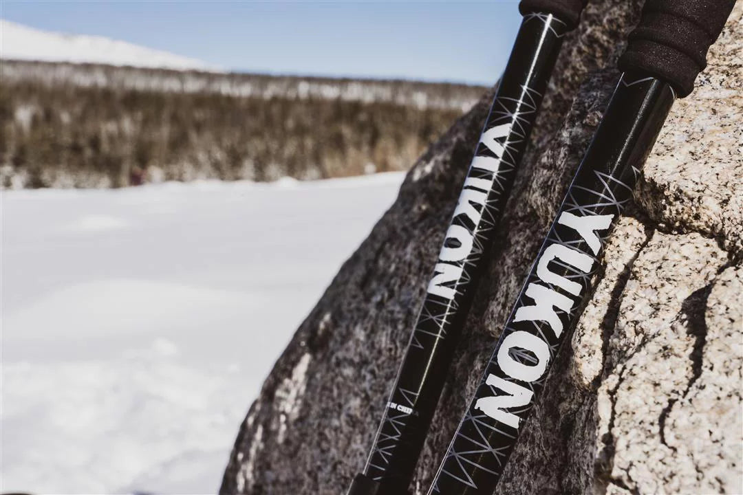 Trekking Poles