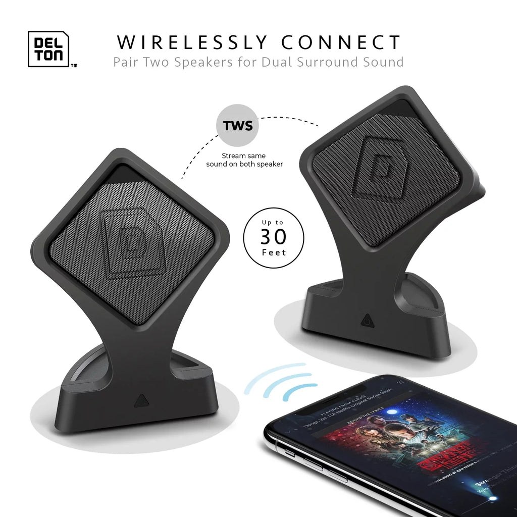 Delton True Wireless Speaker, Portable Bluetooth Speaker with Mic (Twin Pack), Dynamic  Sound and Bass