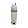 Pentair 160317 Clean and Clear Replacement Pool Filter Pump Cartridge Assembly