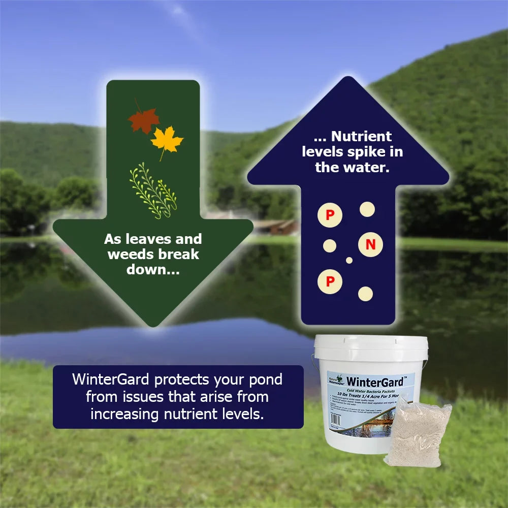 Natural Waterscapes WinterGard Cold Water Bacteria 10 lb Winter Pond Treatment