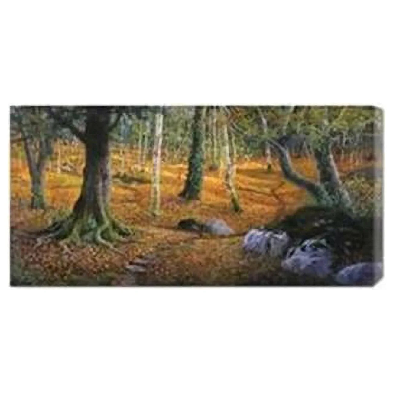 Adriano Galasso 'Sottobosco' Stretched Canvas