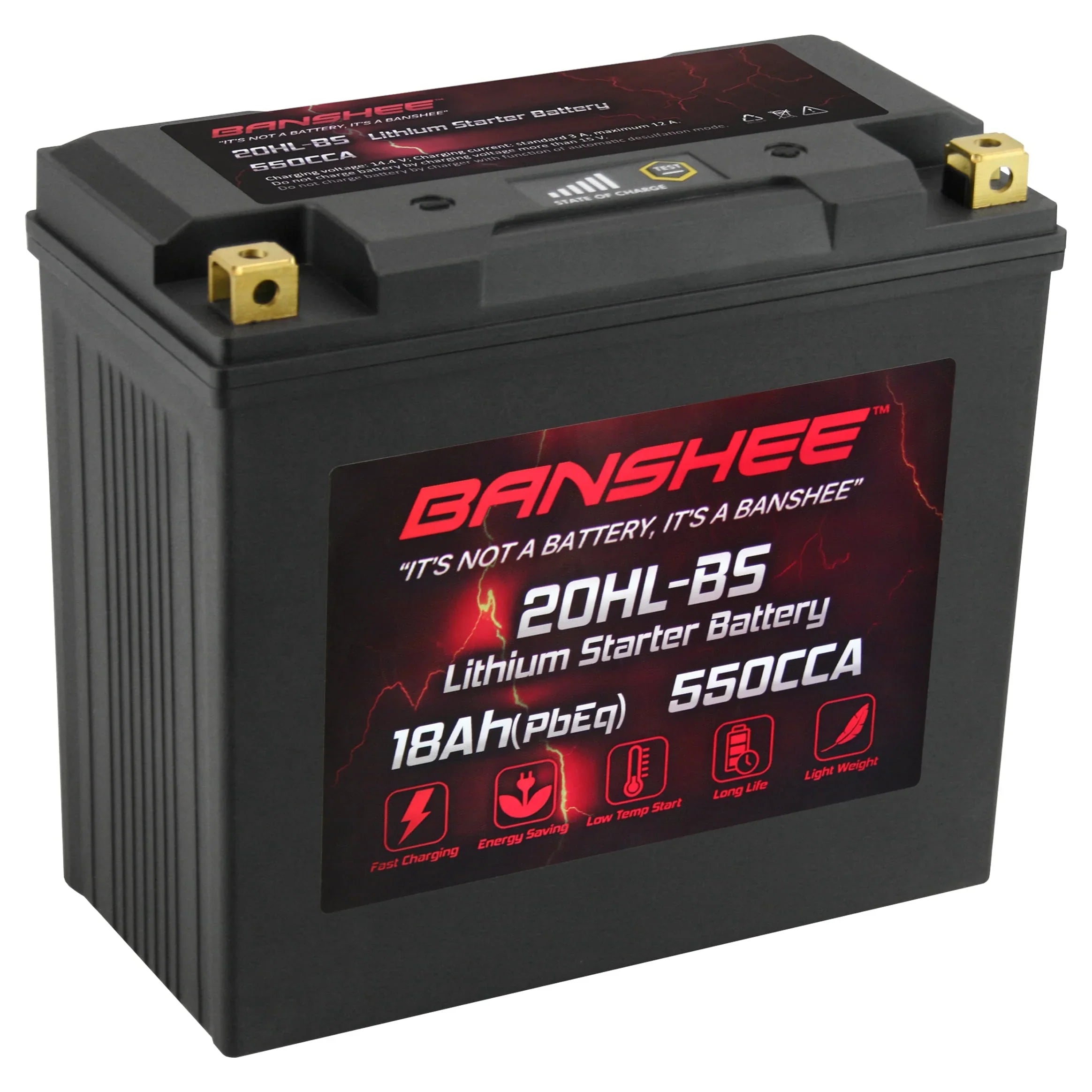 Banshee 20L- LiFePO4 Motorsports Battery Compatible with Sea-Doo  Limited 155 2016 to 2018