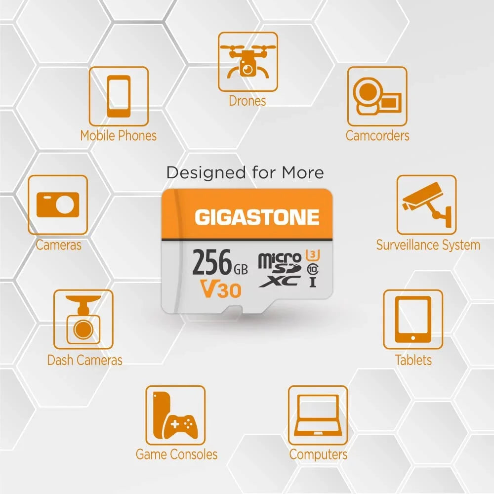 Gigastone 256GB Micro  Card, 4K Video Pro, MicroSDXC Memory Card for Nintendo-Switch, Wyze, GoPro, Dash Cam, Security Camera, 4K Video Recording, -I A1 U3 V30 C10, up to 100MB/s, with Adapter