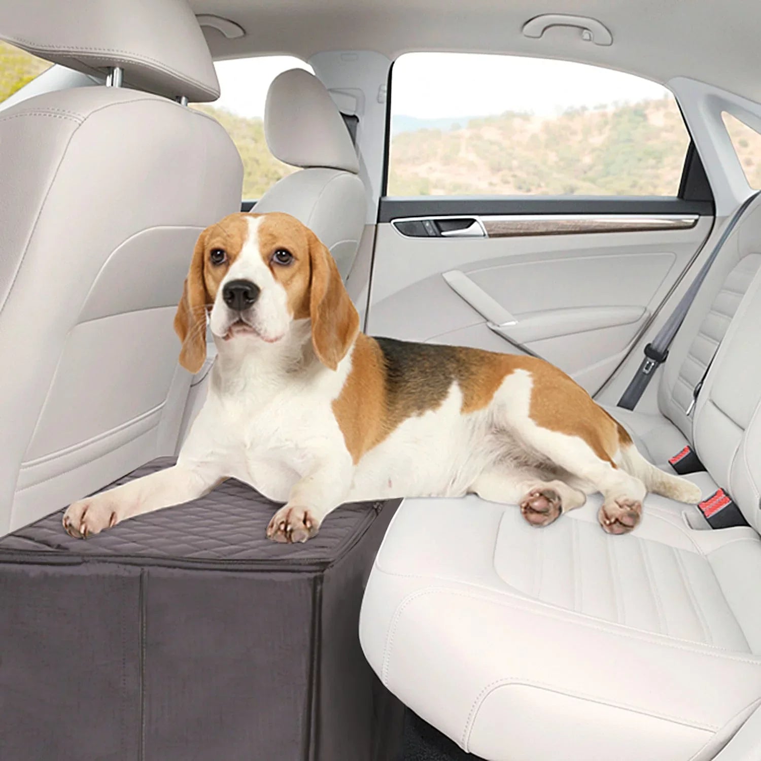Imports Dog Car Back Seat Extender Safer More Comfortable Back Seat Platform and Storage Black