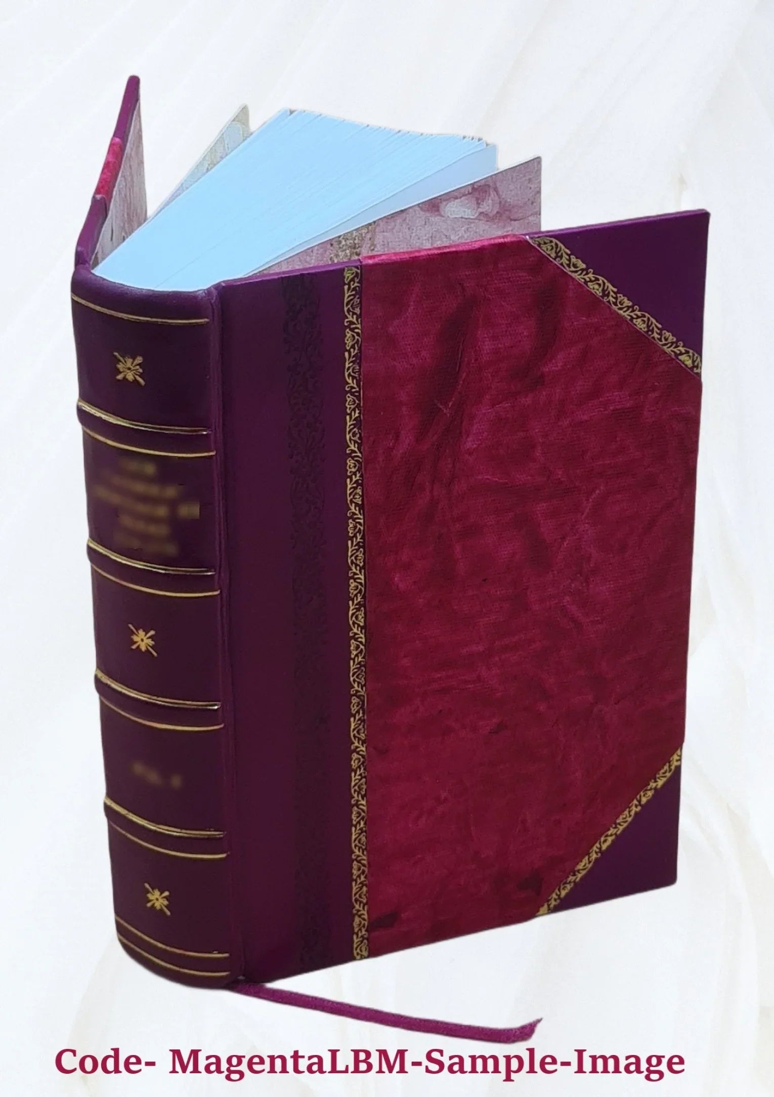 Genealogy of the Fairbanks Family in America 1633-1897 1897 [Leather Bound]