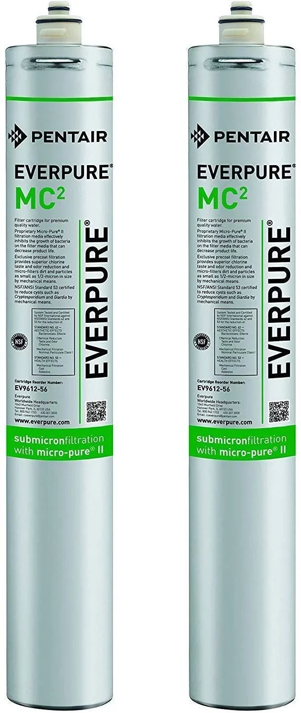 Everpure EV961256  2 Cart (Pack of 2)