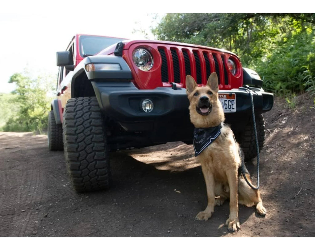 Jeep Venture Sleeping Bag Dog Bed, Colorado Red, Large