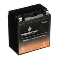 Chrome Battery YTX16L- (16L- 12 Volt,14 Ah, 230 ) Jet Ski Battery for Kawasaki 650cc Jf650 X2 1987
