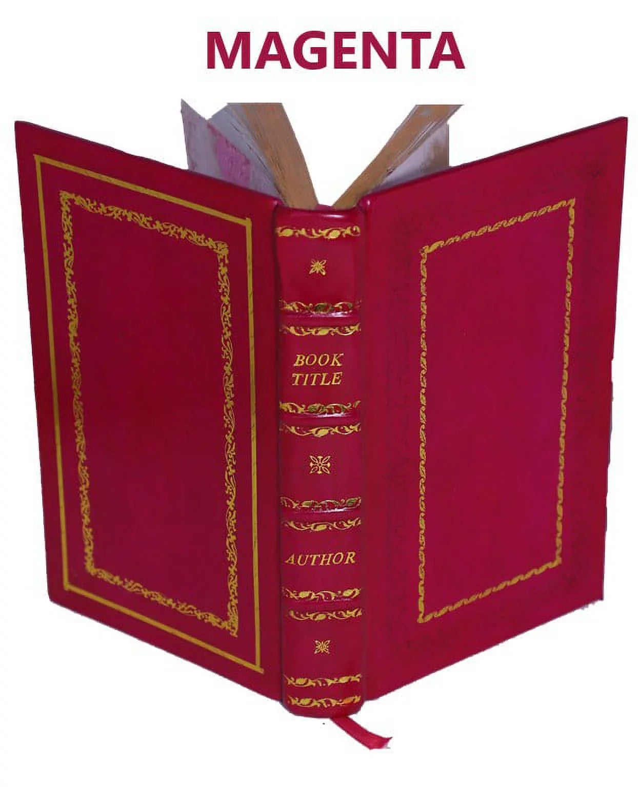 Catalogue des Lépidoptères du Jura neuchâtelois ... 1903 [Premium Leather Bound]