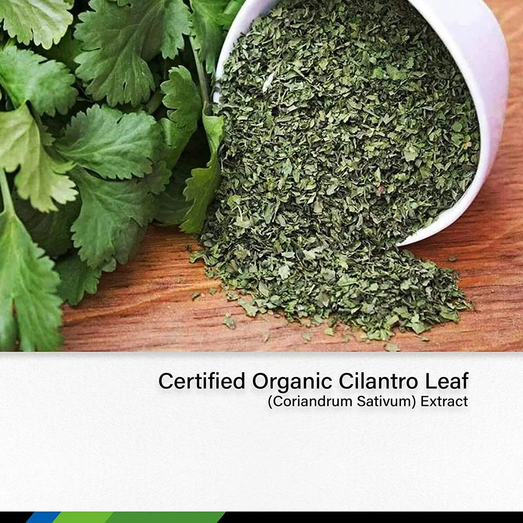 Cilantro Supplement - Organic Cilantro Leaf Liquid Extract - Coriandrum Sativum Drops for Body Cleansing & Detox - Cilantro Tincture Alcohol Free 2 fl. Oz