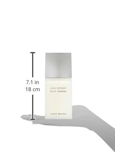 Issey Miyake L'eau D 'Issey 4.2 oz Eau de Toilette Spray for Men