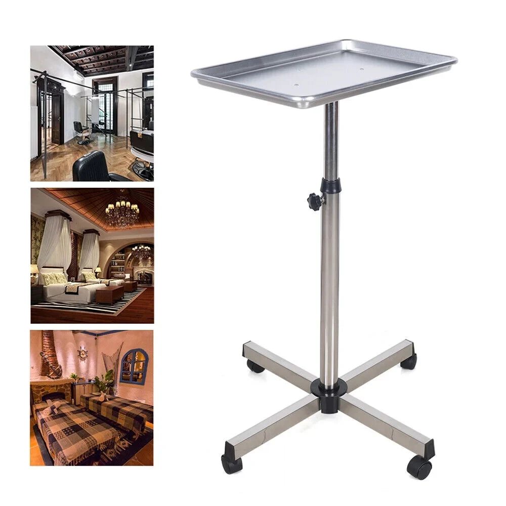 Mobile Cart Rolling Cart Dentistry Clinics Beauty Salon Stand Rack Tray Trolley