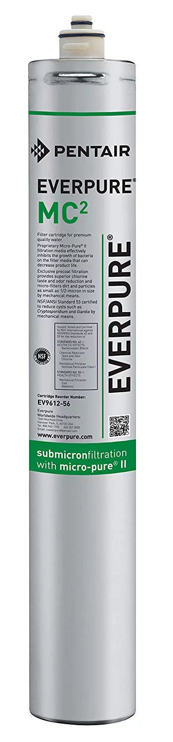 Everpure EV961256  2 Cart (Pack of 2)