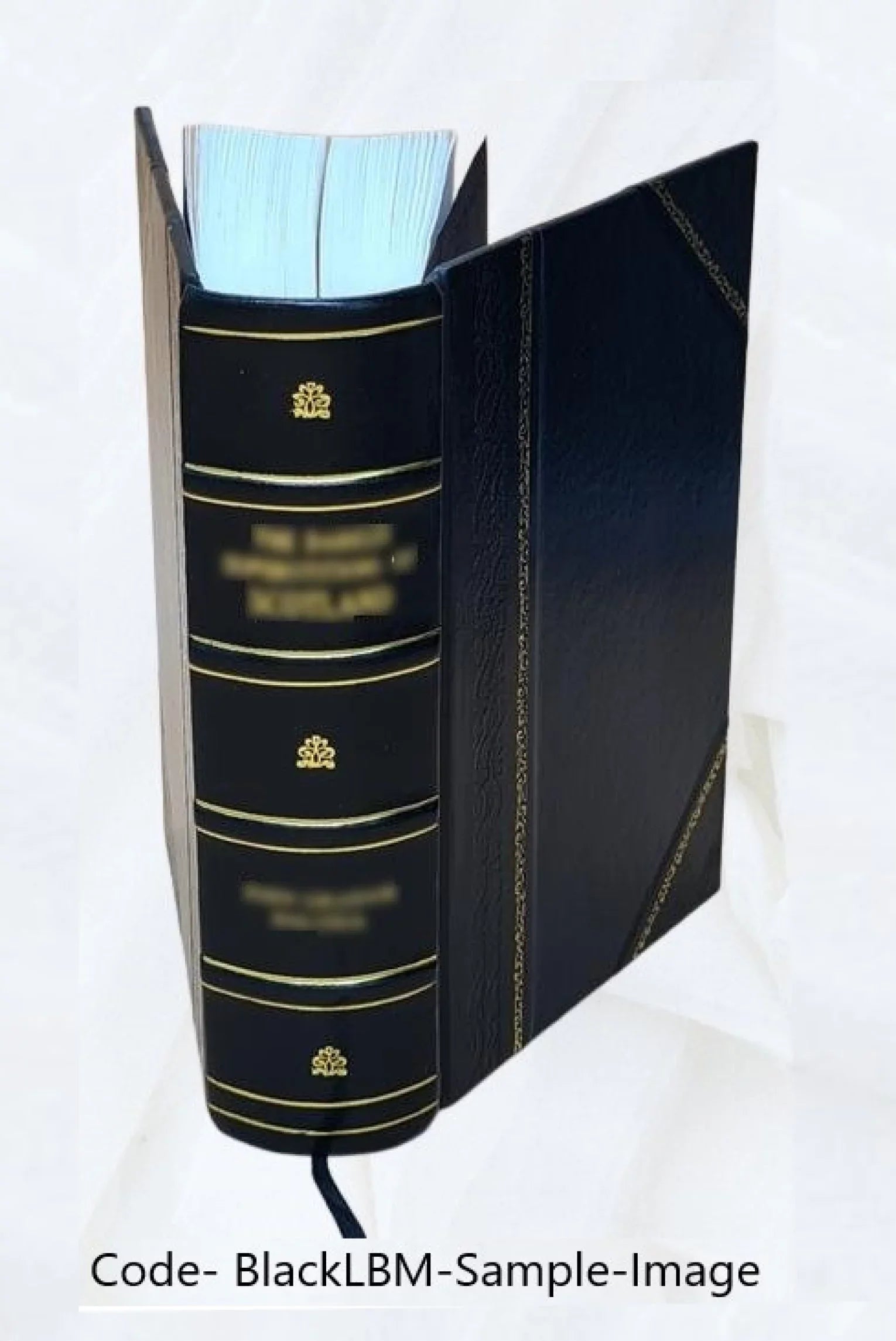 Genealogy of the Fairbanks Family in America 1633-1897 1897 [Leather Bound]