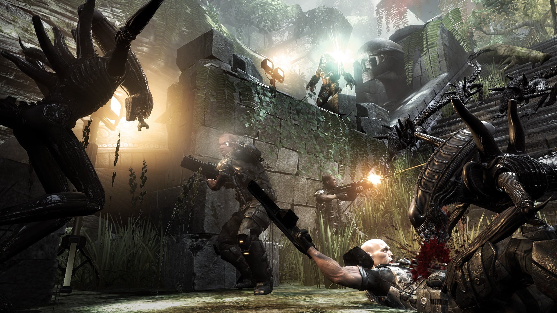 Aliens vs Predator - Xbox 360
